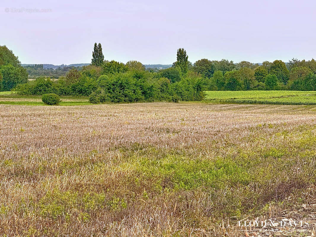 Terrain à MEDIS