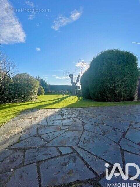 Photo 3 - Maison à ARQUES