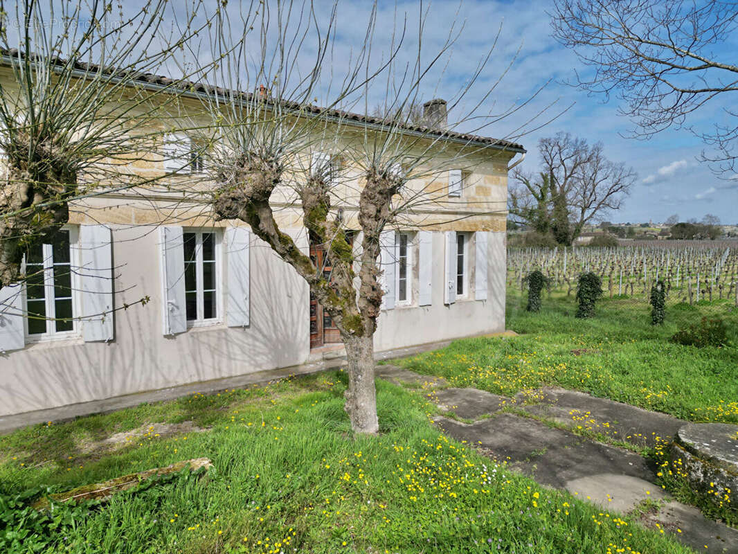 Maison à SAINT-EMILION