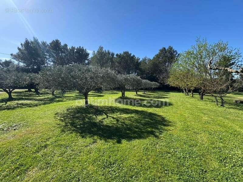 Maison à EYGALIERES