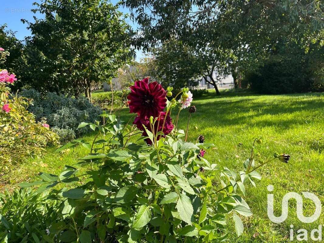 Photo 4 - Maison à IFFENDIC