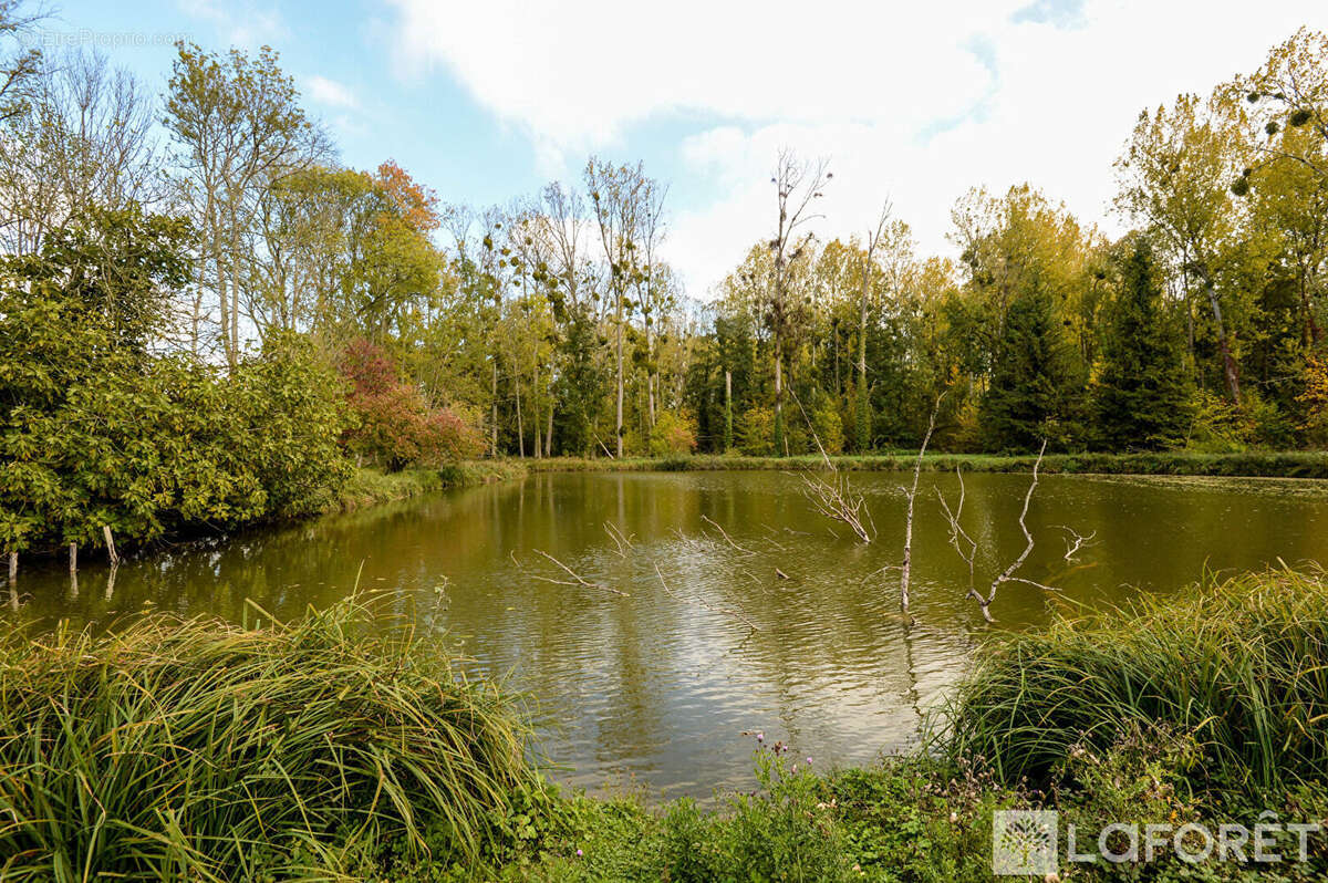 Proche fontainebleau - moulin  historique - photo 18