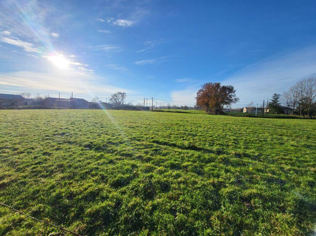 Terrain à PONT-DE-VAUX