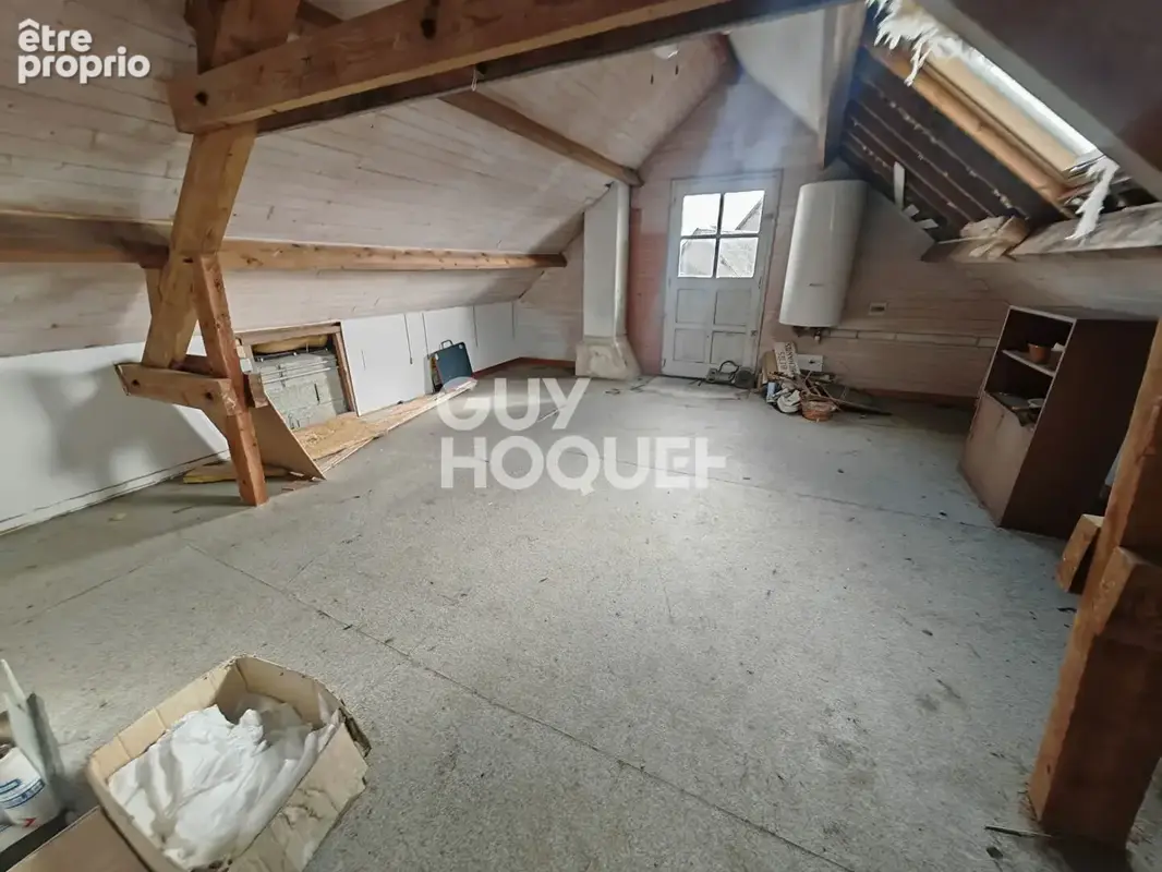 Pleine fougères - photo 8