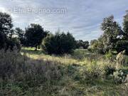 Terrain à SAINT-SIFFRET