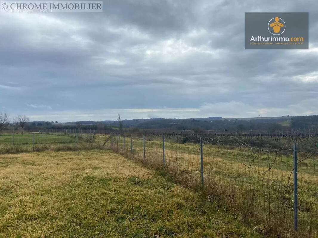 Terrain à PELLEGRUE