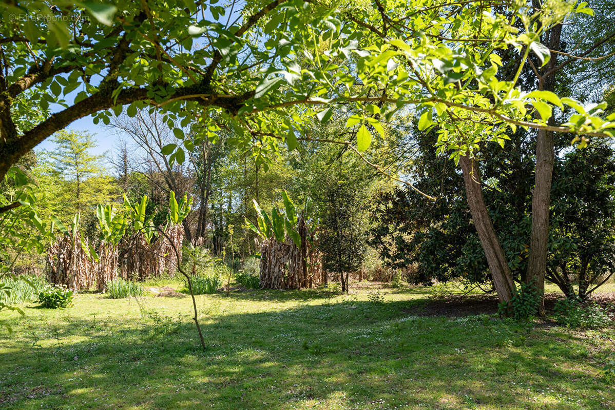 Maison à SAINT-PERDON