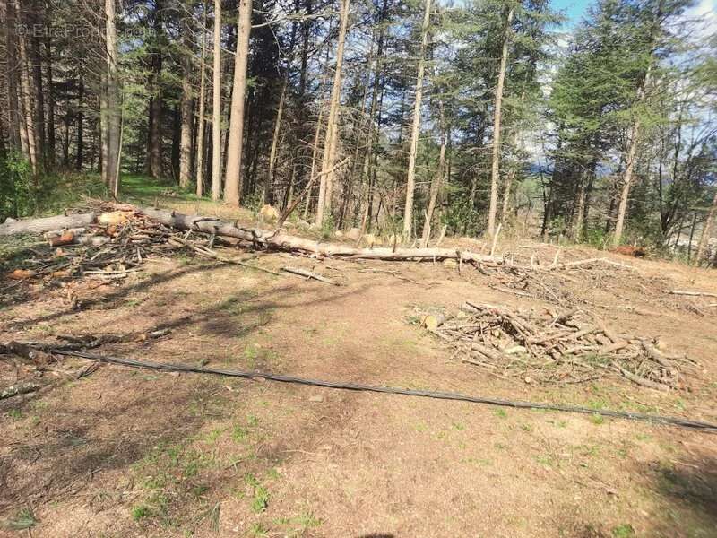 Terrain à SAINT-AMBROIX