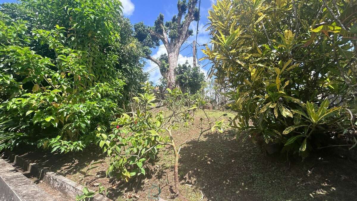 Maison à FORT-DE-FRANCE