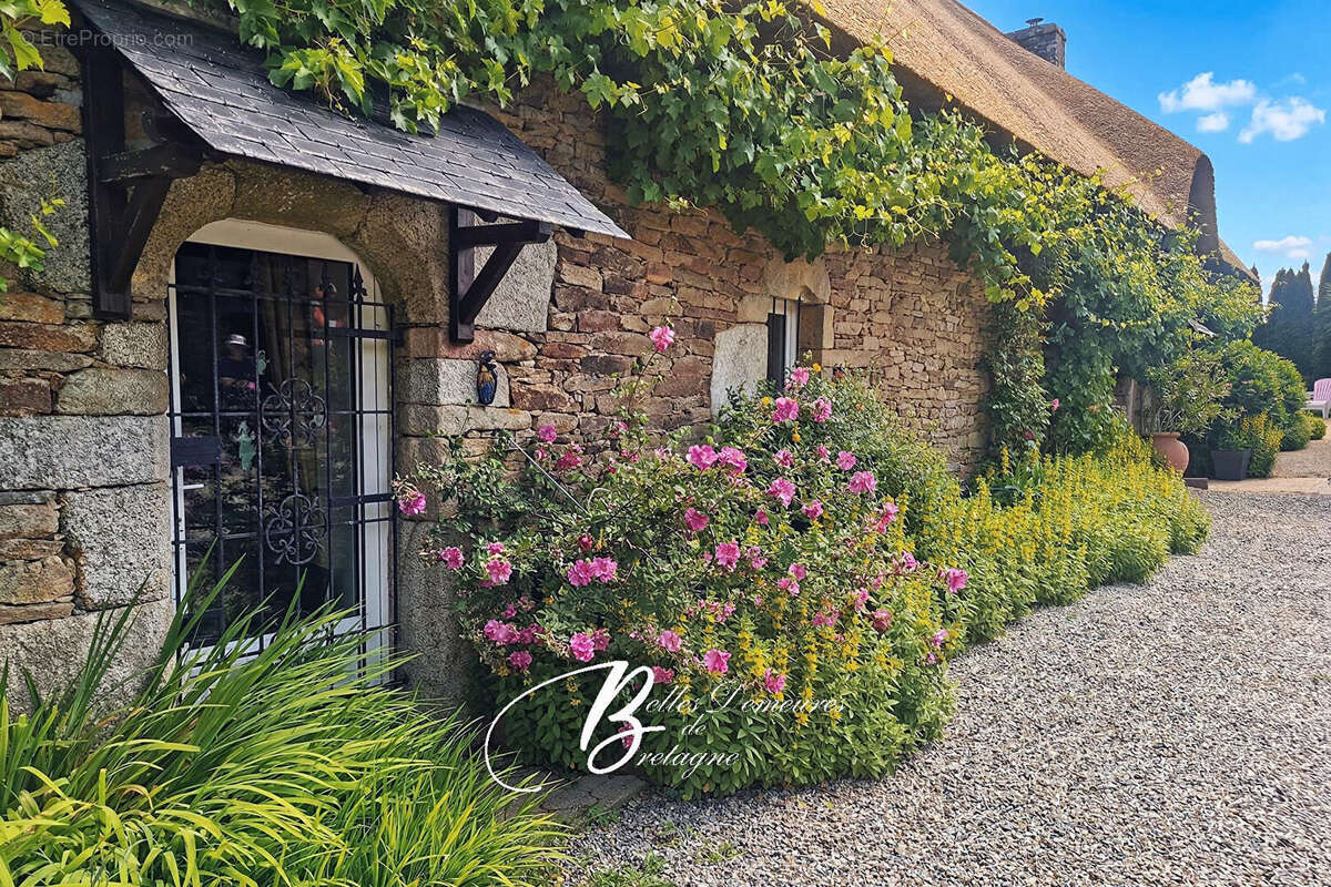 Maison à PLUVIGNER