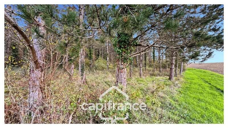 Maison à MONFLANQUIN