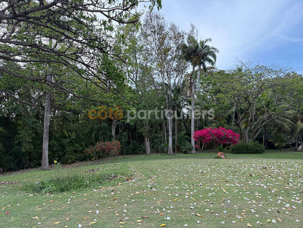 Propriete le moule terrain 9400m² - photo 9