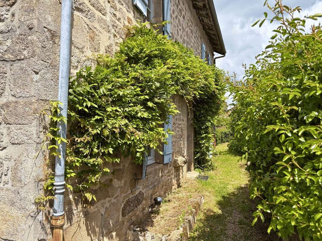 Maison à PEYRAT-LE-CHATEAU