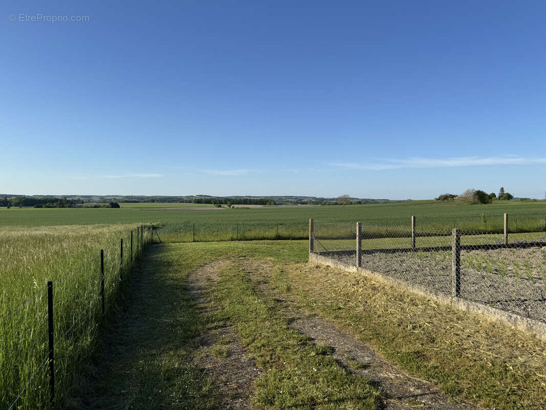 Terrain à BARBEZIEUX-SAINT-HILAIRE