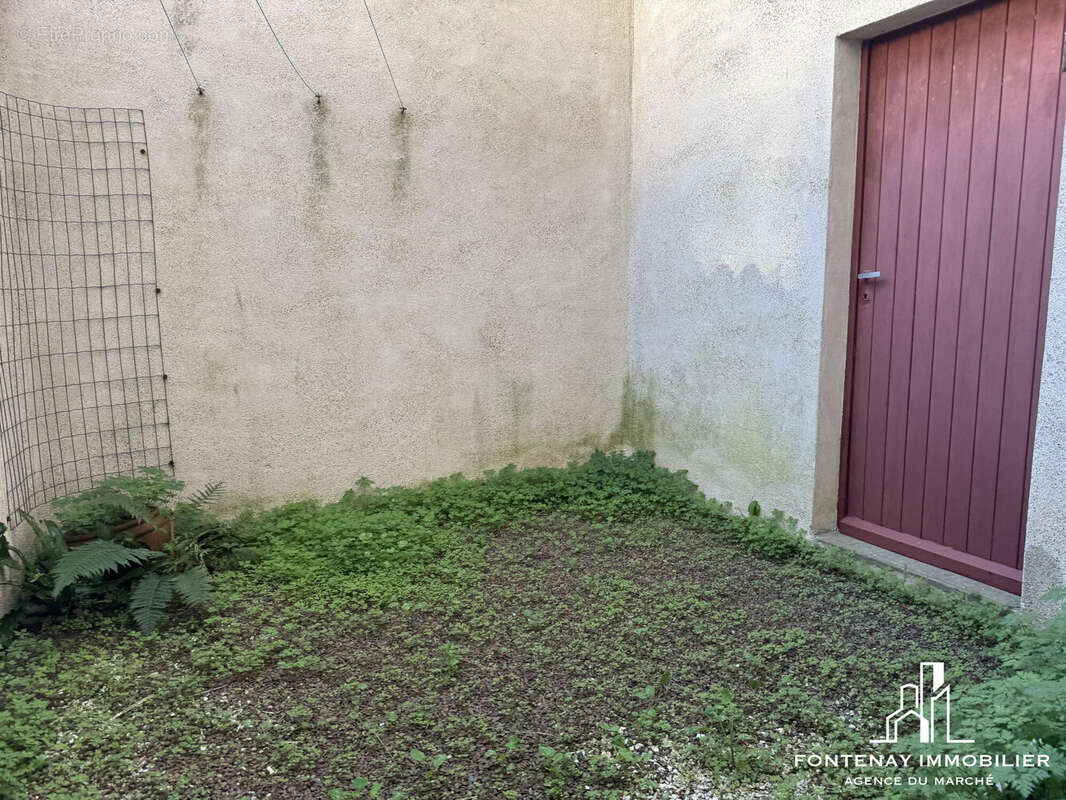 cour - Maison à FONTENAY-LE-COMTE