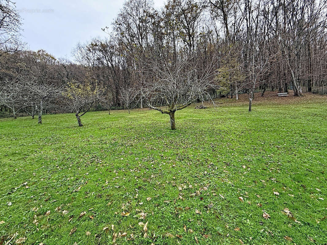 Maison à SAINT-VIANCE