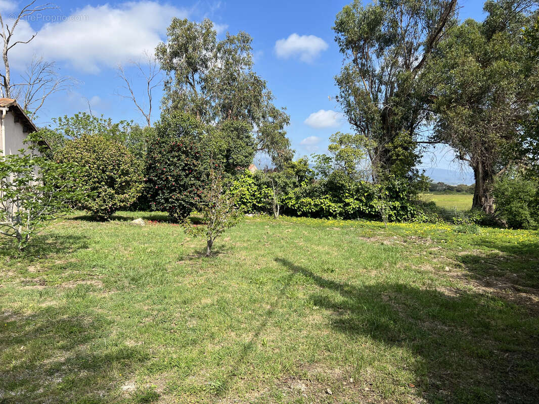 Maison à PRUNELLI-DI-FIUMORBO