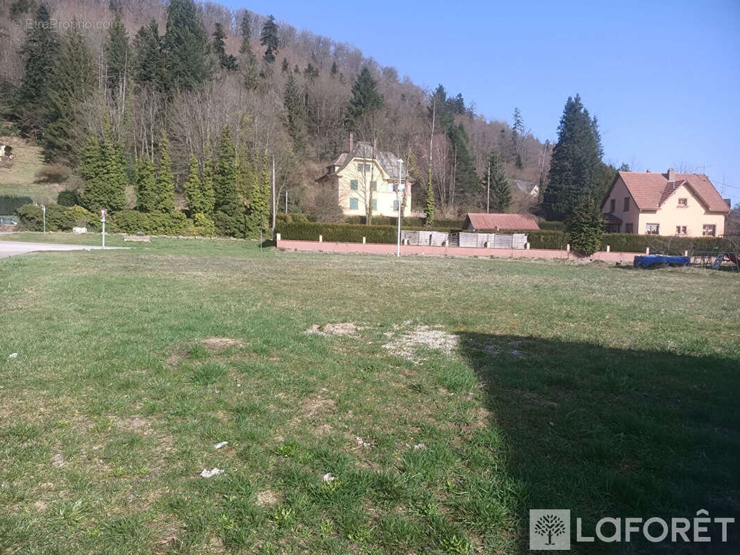 Terrain à SCHIRMECK