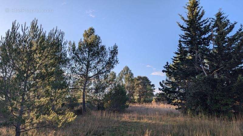 Terrain à VALFLAUNES