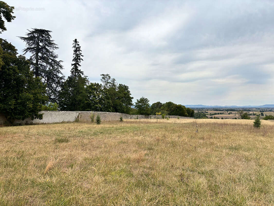 Terrain de plus de 7.300 m² - vue imprenable sur la Chaîne des Puys - photo 3