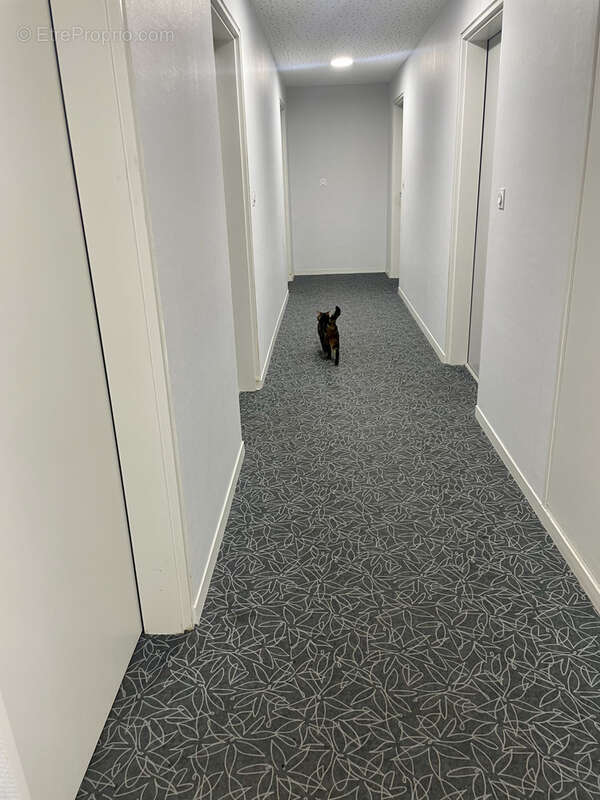 Appartement à BOUGUENAIS