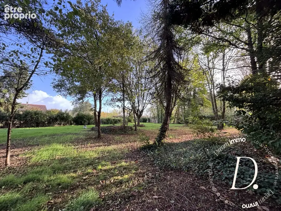 Terrain 2 500 m² à vendre à Taller (40260) - photo 2
