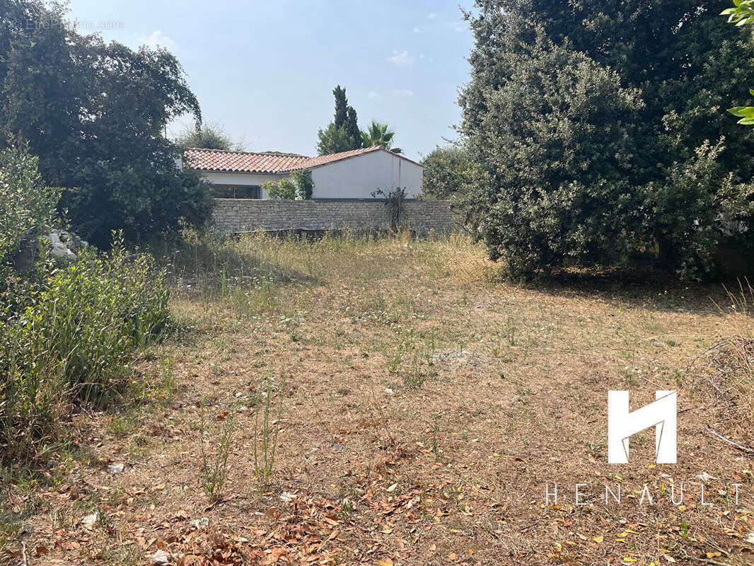 Terrain à RIVEDOUX-PLAGE