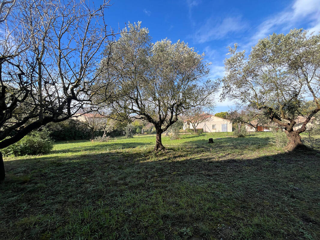 Terrain à LAGNES