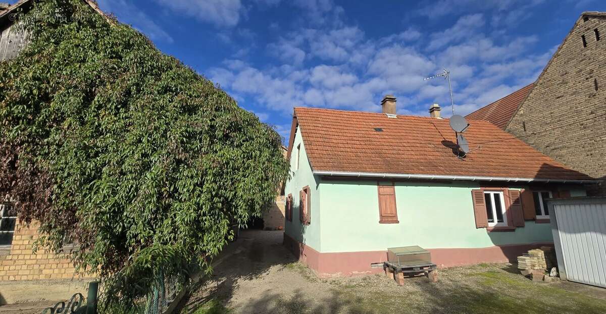 Maison à PLOBSHEIM