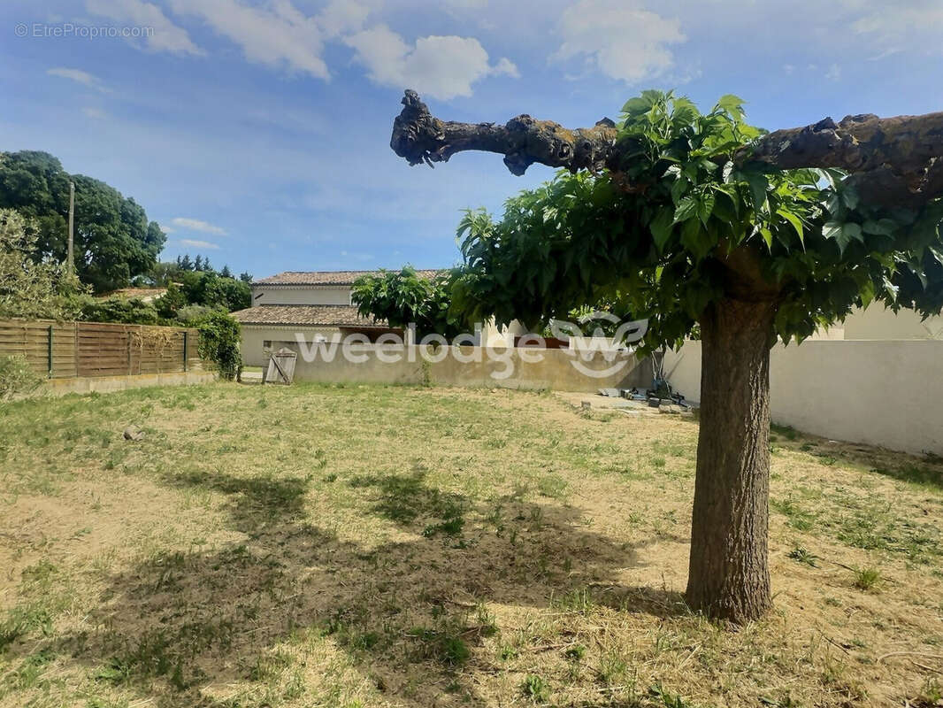 Maison à SAINT-MARTIN-DE-CRAU