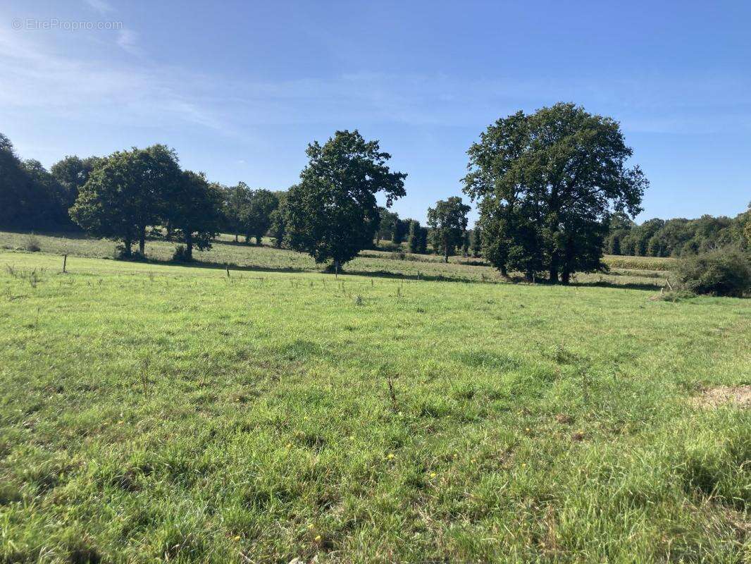 Maison à SAINT-PIERRE-DE-PLESGUEN