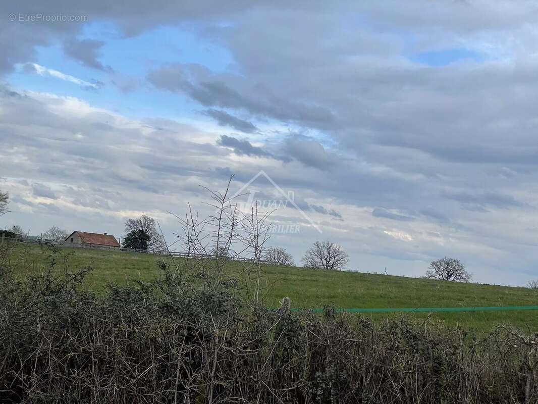 Terrain à YGRANDE