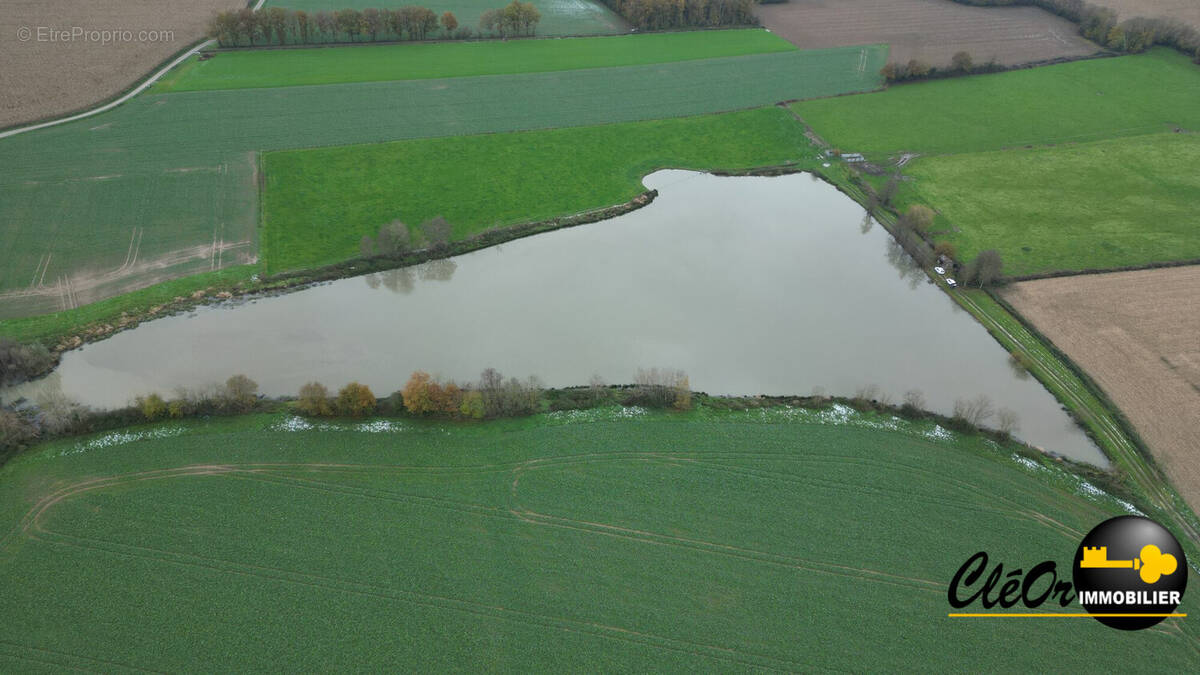 Terrain à SERLEY