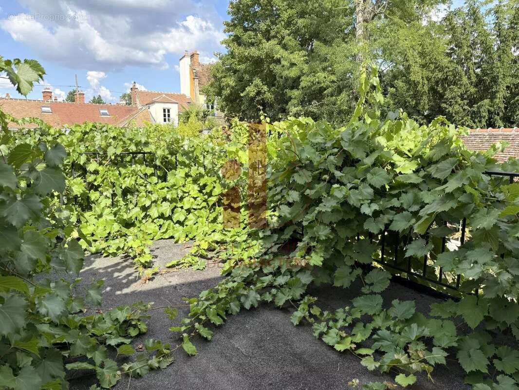 Maison à FONTAINEBLEAU