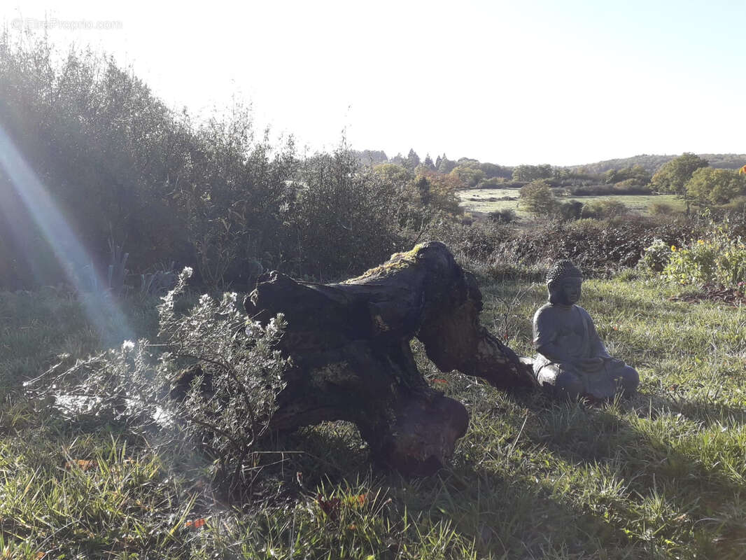 Maison à LA ROCHE-EN-BRENIL