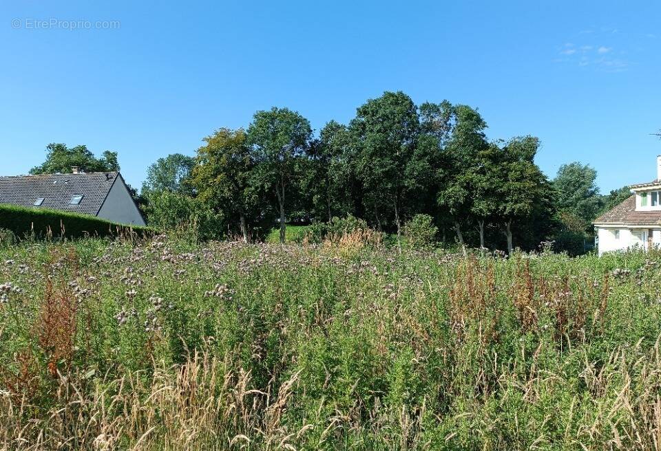 Terrain à INGOUVILLE