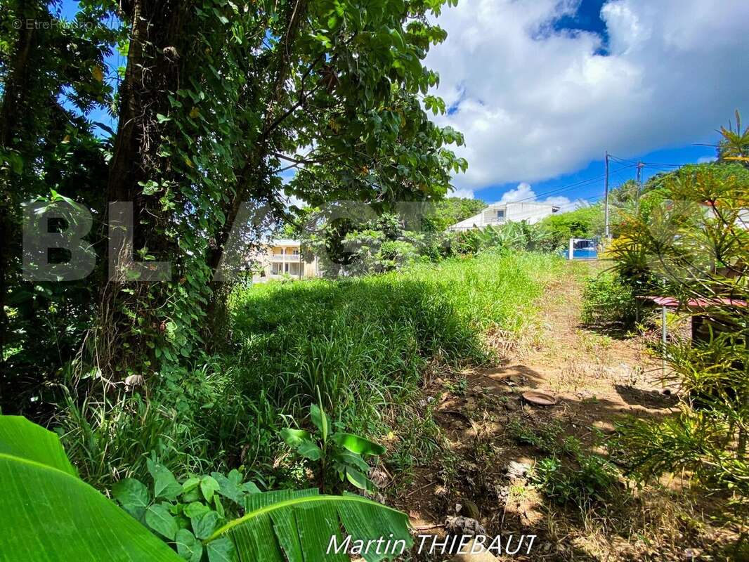IMG_4904 - Terrain à LE LAMENTIN