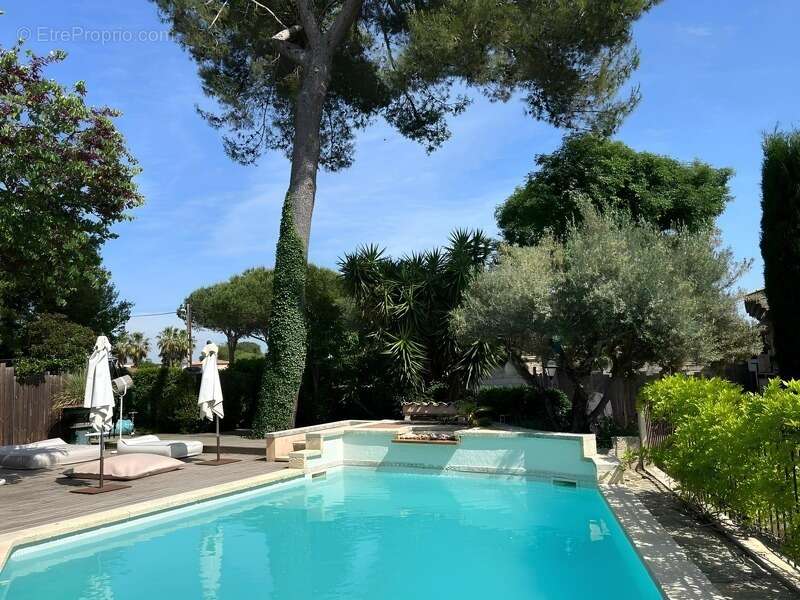Magnifique PROPRIETE : Maison De Maître Et  Deux Dépendances (  17 Pièces / 400 M² )  Située à VERARGUES (34) DEDIEE A UN PROJET - photo 5