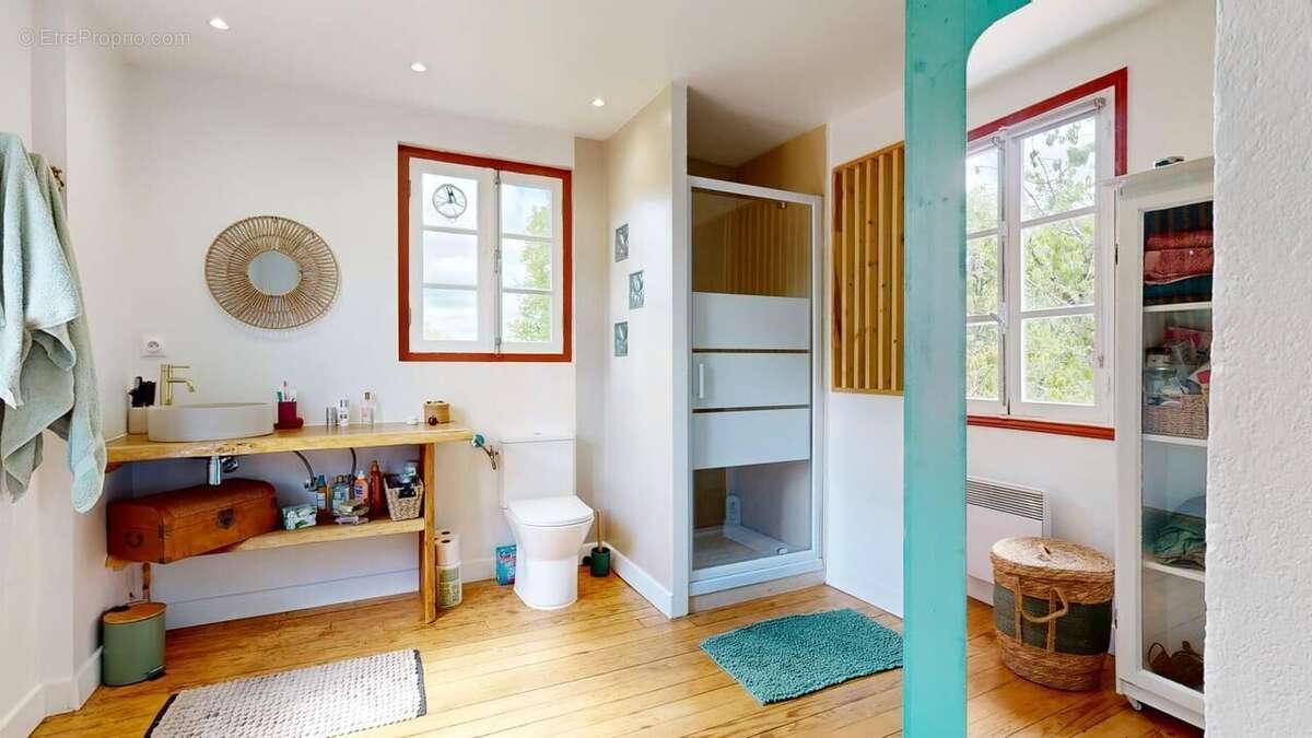 Maisonancienneavecdependance04172026110442 - Maison à LE BUISSON-DE-CADOUIN