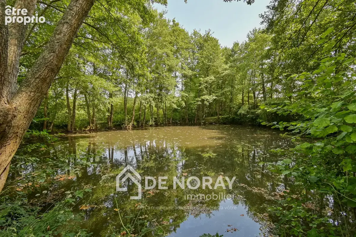 Propriété de 3 maisons + espace équestre sur 3,5 hectares - Gîte - photo 15
