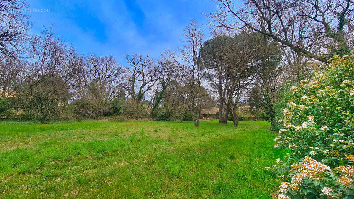 Terrain à LA BRUGUIERE