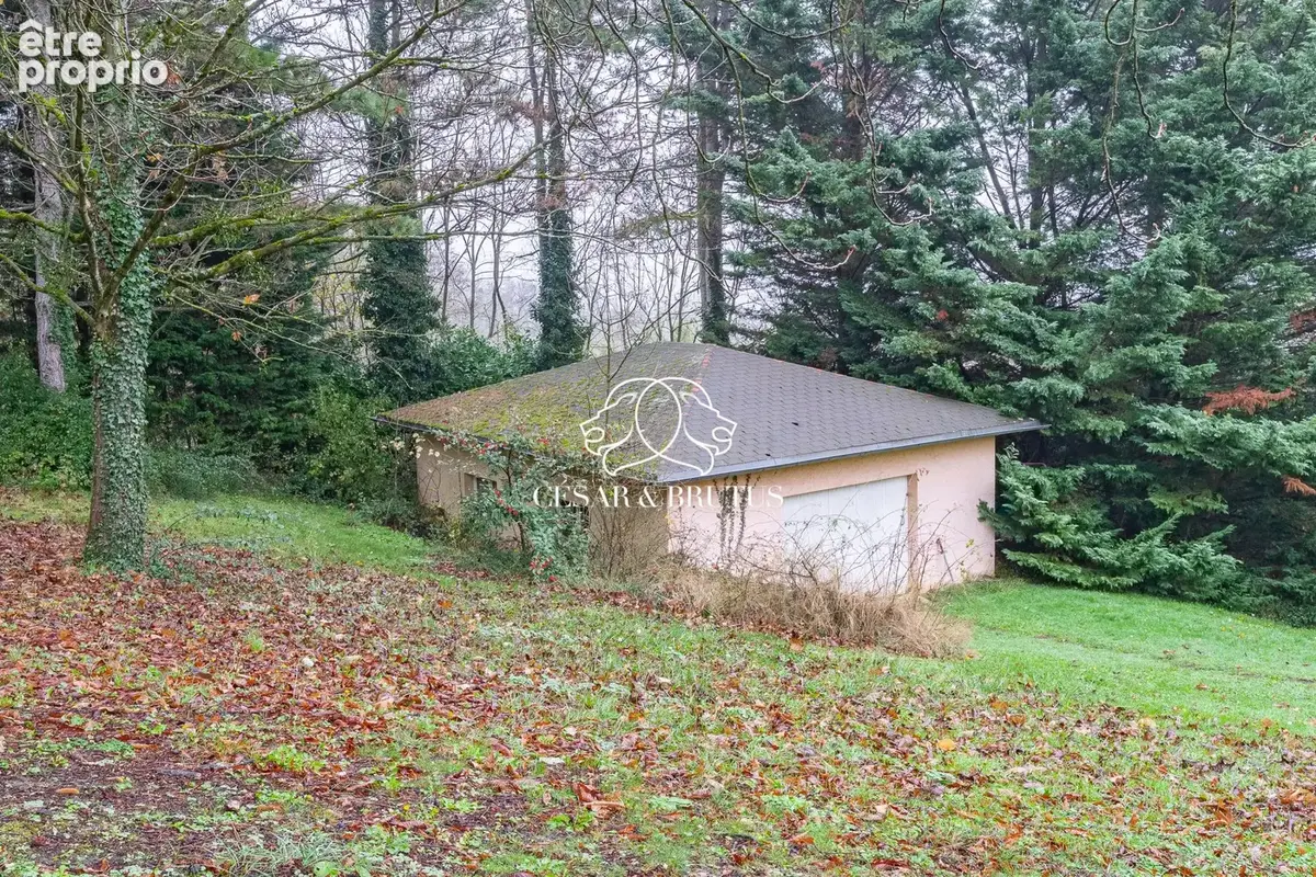 Maison 355 m² à Collonges-Au-Mont-D'or  - photo 3