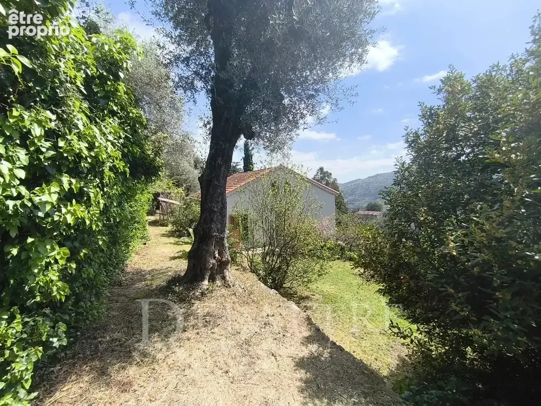 Le Bar sur Loup au calme ! - photo 11