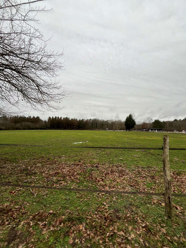 Maison à LIGNY-LE-RIBAULT