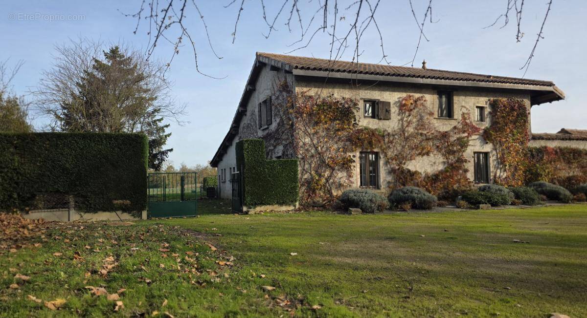 Maison à AMBERIEUX-EN-DOMBES