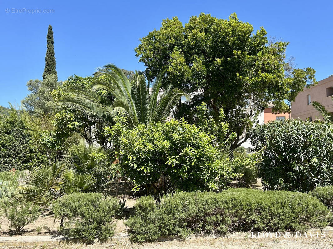 RESIDENCE INTIMISTE ET ARBOREE - Appartement à BORMES-LES-MIMOSAS