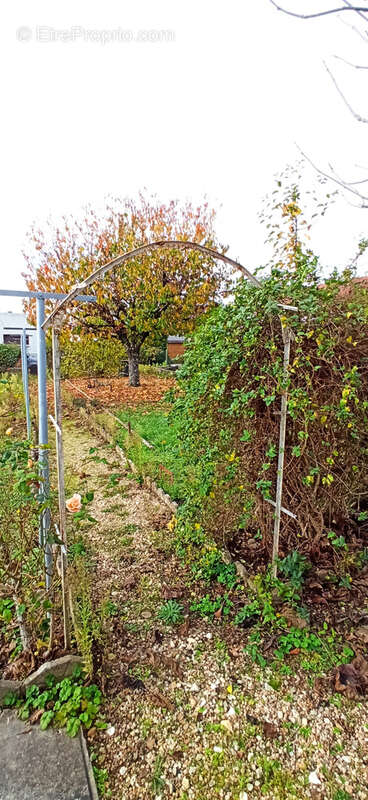 Maison à SAINT-FLORENT-SUR-CHER