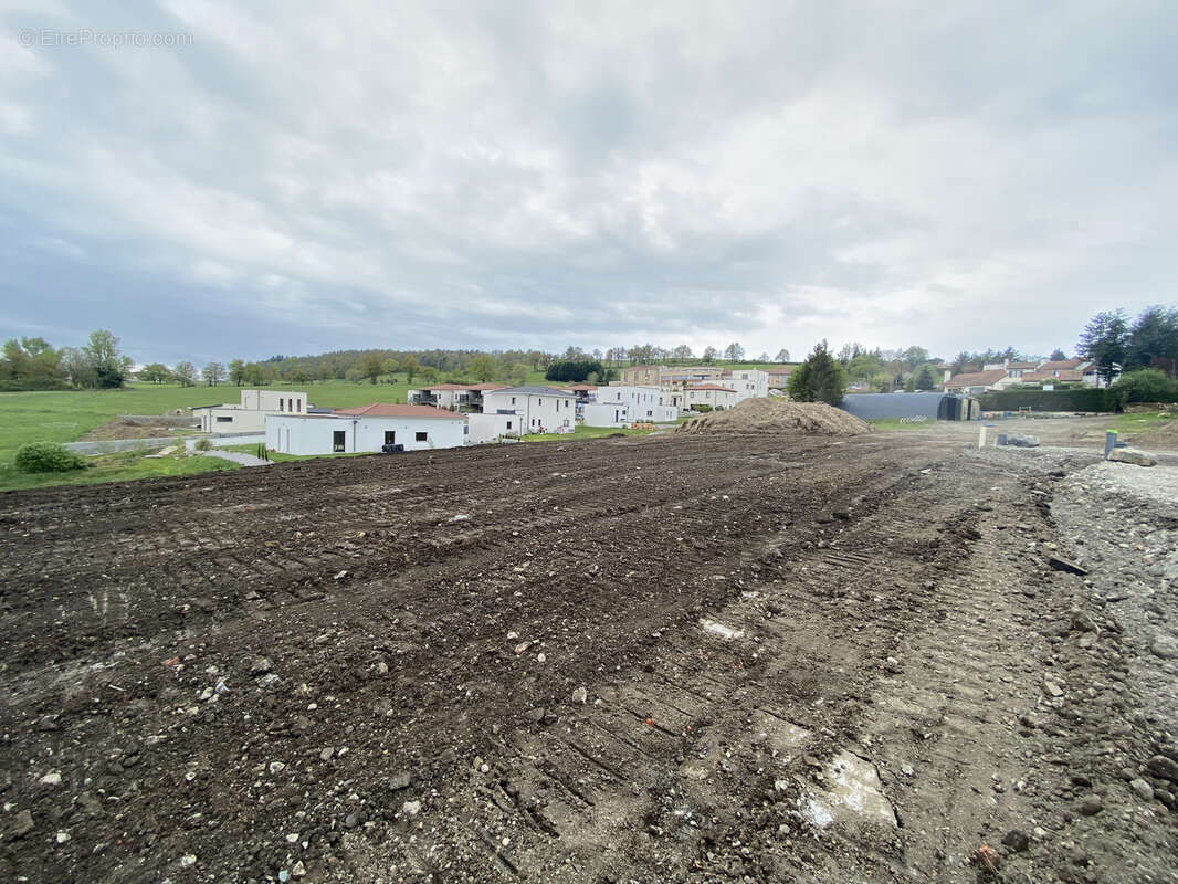 Terrain à ROCHE-LA-MOLIERE