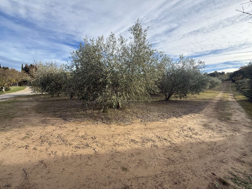 Terrain à VERZEILLE