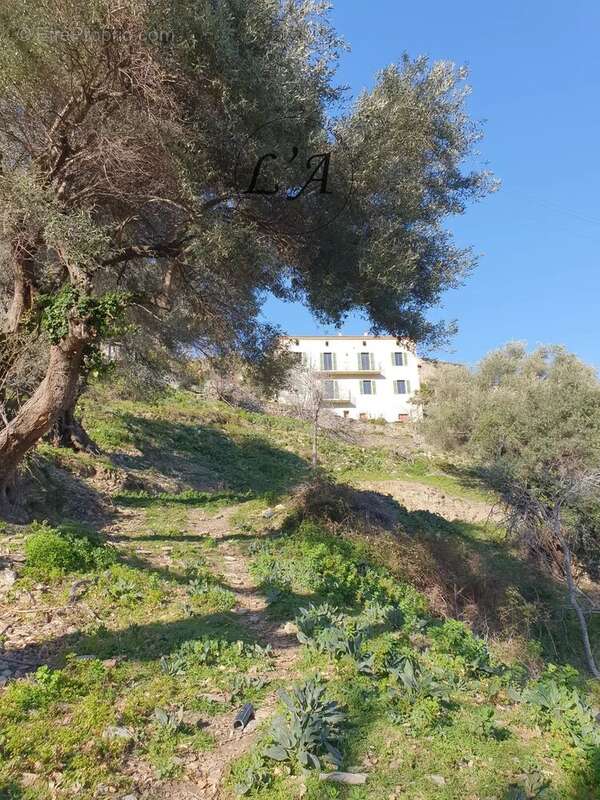 Maison à SANTO-PIETRO-DI-TENDA